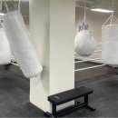 맨투맨프리미엄복싱 이미지