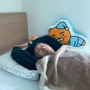 산청로즈펜션 | 모아둔 2021 상반기 일상🧡