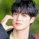 그린그린