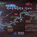 금호천 이미지
