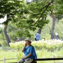 호수공원14로 Daum카페
