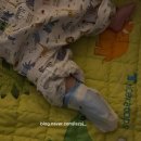 꿈크는아이병원 이미지