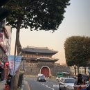 시나브로카레