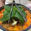 돈골대가 이미지