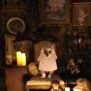 견생맛집 | 라떼랑 다녀온 견생아뜰리에 🎃✨🎄