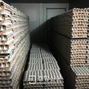 몸사랑농장 이미지