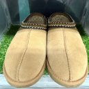 260 | [내돈내산] 남자 어그 타스만 사이즈 고르는 법! 반업? 정사이즈? (260 상세 후기)