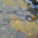 중앙솔밭캠핑장 이미지