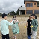 대창초교 이미지