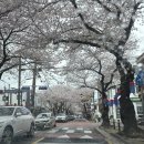 제주 아로마 마사지 제주시 삼도 이동 &lt;라인미뷰티&gt;에서 굳은 목 어깨 풀고 힐링받고 왔어요.