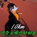 10 | 2026 영주소백산마라톤대회 10Km 후기｜급수대 운영은 아쉬움