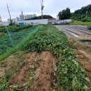 화영농장 이미지