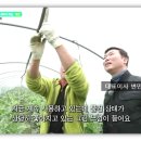 더블유통신 이미지