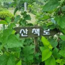 썬샤인펜션 이미지