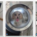 와우동물병원 이미지