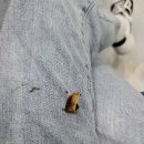 스카이스크린골프존 이미지