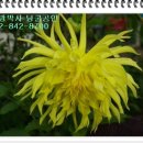 구로-구로-구로-842 이미지