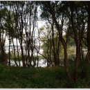 월랑월랑 이미지