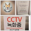 뛰댕길겨 미용할겨 | 즐겁게 뛰어노는 청주 뛰댕길겨 자구갈겨 애견유치원 후기