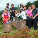 순규농장 Daum카페