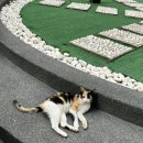 D-gym | [쿠알라룸푸르 어학연수 D+3] 영어 수업 시작, unimy kfc, gym 방문 후기