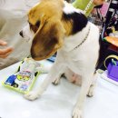 폴리파크지산점 이미지