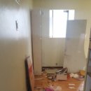 타파웨어 상록수 이미지