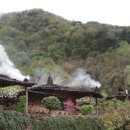 화개파크 이미지