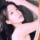 오행다원 이미지