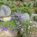 관광민박 이미지