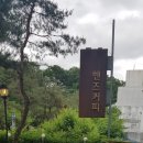 당골 | 김천의 명소 연화지 내 핸즈커피 솔직후기