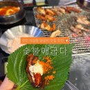 숯불애굽다천안차암점 | 천안 차암동닭갈비맛집 회식추천 숯불애굽다 천안차암점