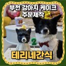 테리네간식 | 테리네간식 부천 강아지 생일 케이크 주문제작 내돈내산 후기