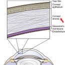 다산아이동물병원 이미지