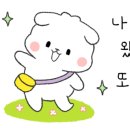 명랑도그 이미지