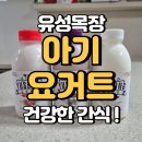 유성목장 | 유성목장 아기요거트 건강한 간식으로 추천
