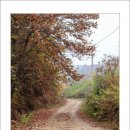 양평꿈의마을오토캠핑장 이미지