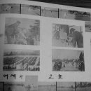 밀양여자중학교 이미지