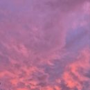 호텔 아늑에어 가평점 이미지