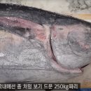 동해안 이미지