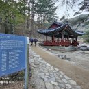 신선1호 이미지