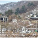 강변의 숲속 네이버블로그