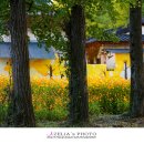 도리경로당 이미지