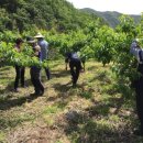 남정면사무소 이미지