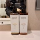 전주한옥마을스테이하루 | 신라스테이 전주 한옥마을 / 스탠다드 트윈룸 시티뷰 후기