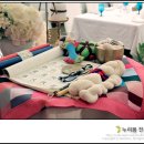 송다원 Daum카페