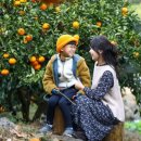 제주 빙새기 이미지