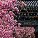 서산터널 화장실 이미지