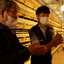 평전농장 이미지