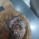 인간극장 고말선의 사랑 이미지